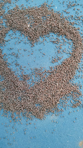 Papvarum somniferum seeds (opium poppies)